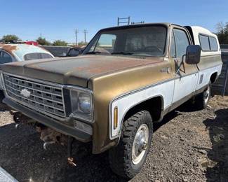 110  1975 Chevrolet Scottsdale 