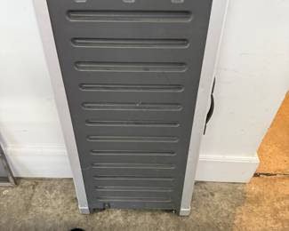 $40 plastic ramp 