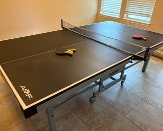 Available for Presale: $425 Platinum AMF Table Tennis Table