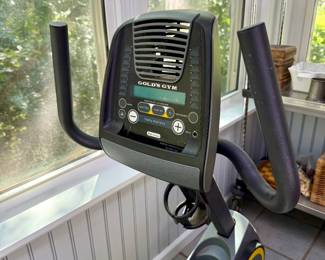 Gold's Gym excercise bike