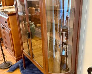 Rounded glass frond cabinet