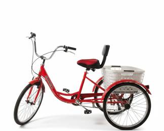 adultredtricycle