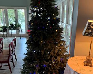 Peppermint Forest Fraser fur Christmas tree 
