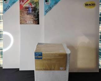 Assorted Lot of New Canvases