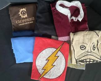 Short Long Sleeve Shirts Youth Size 1012 Featuring Flash DC Comics