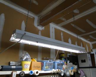 Workshop light
