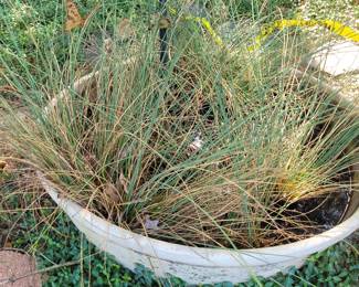 Large Planter