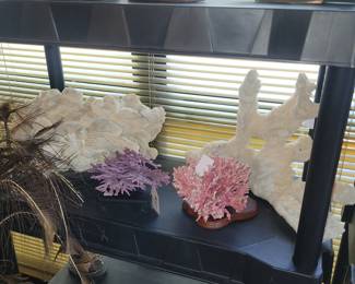 Unique Coral Pieces