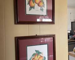 fruit pictures- other pictures as well in the sale
