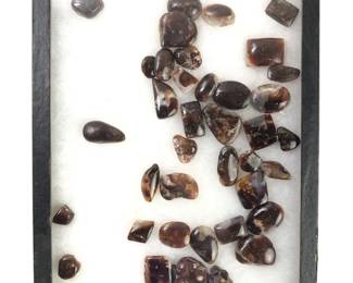 A Collection of Cabbing Facing Fire Agate