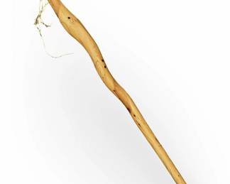 Polished Wooden Cane