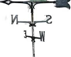 wIMG 2991 t