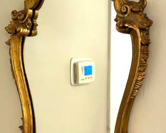 46. Mirror w/ Ornate Gilt Frame (20" x 35")