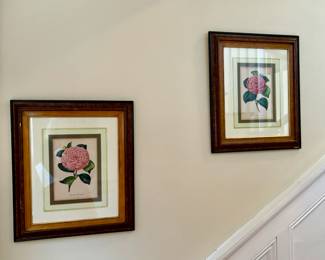 63. Pair of Botanical Prints Camellias w/ Burlwood Frame (18" x 21")