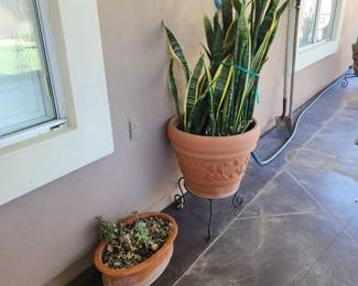 Large Terracotta Planter with Snake Plant + Succulent Pot Outdoor Patio Decor