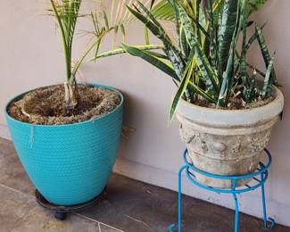 Large Outdoor Planters with Live Plants – Teal Resin Pot + Aged Terracotta Snake Plant