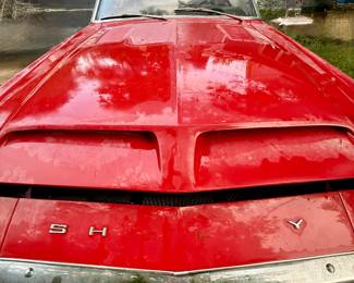 1968 Ford Shelby Mustang GT350