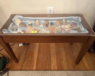 table with shells on display