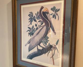Audubon 