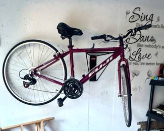 Fuji Hybrid Fitness Bike