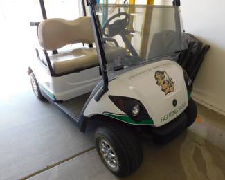 2006 Yamaha Model YDRE. with upgraded battery backs. Simple 110v plugin anywhere, no charger box required.