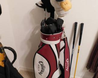Calloway X-20 full set, graphite shaft, including woods, 3-9, SW, PW