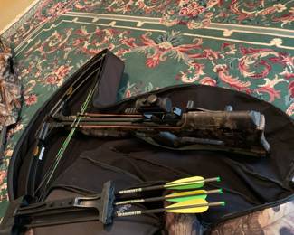 #171 Barnett Quad400 Bow w/soft-sided Case w/arrows $125.00