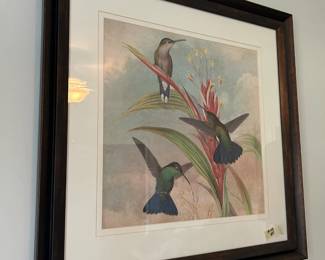 hummingbirds