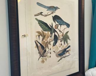 large bird print