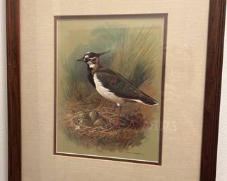 nice bird print
