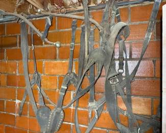 Leather horse tack.