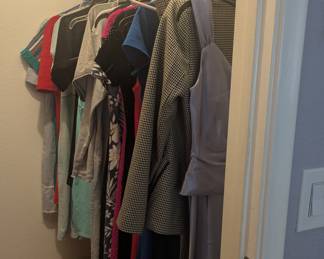 Dresses, Nightgowns, and swimwear