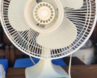 Several fans throughout the house