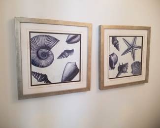 Shell prints