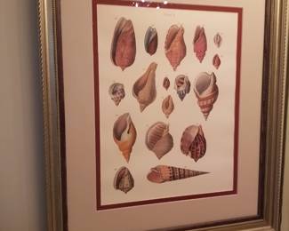 Shell art