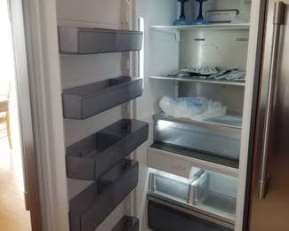 Professional single door freezer