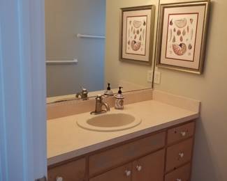 Bath vanity; mirror; vanity lights