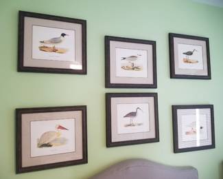 Avian prints
