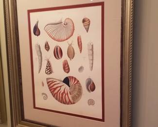 Shell art