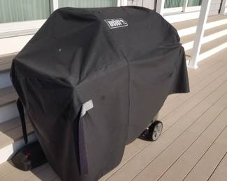 Weber grill
