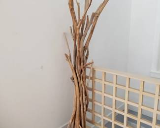 Driftwood