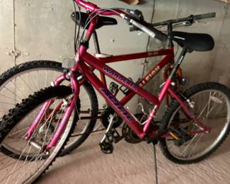 Raleigh 30 bike