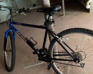 Raleigh 30 Bike
