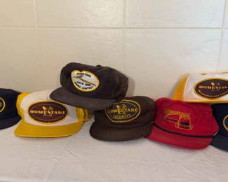 Homestake Mining Company Caps 