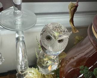 owl