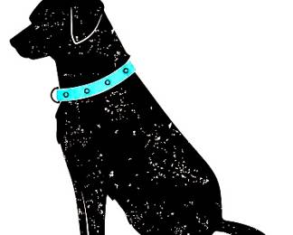 dog psty og logo