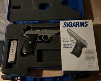 P232  .380 cal