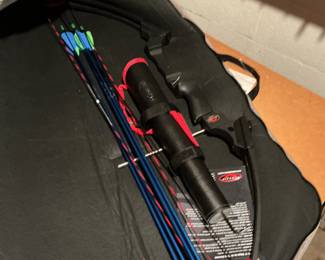 Bow and arrows 
