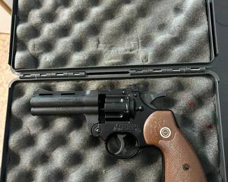 Crossman pellet