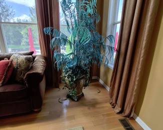 Great plant and vase